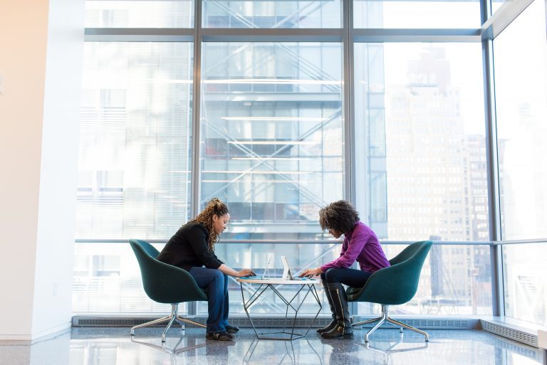 Consultant working with a client - technology and business consulting